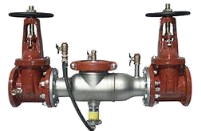 Ductile iron double check valve assembly with two OS&Y gate valves